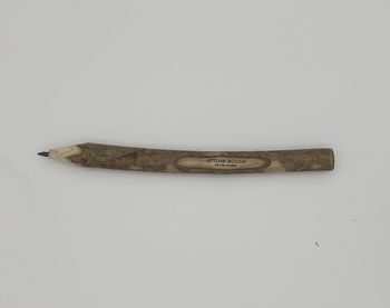 Branded - Attenborough Nature Reserve Twig Pencil