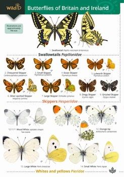 FSC - Butterflies of Britain and Ireland