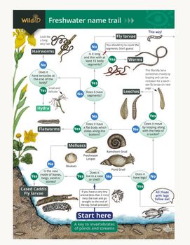 FSC - Freshwater Name Trail