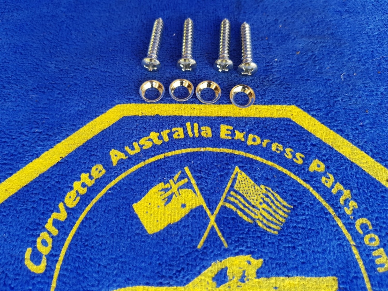 SCREW SET-DOOR PANEL-WITH WASHERS-8 PIECES-68-77 (#E7626) 3C4