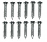 SCREW SET-DOOR SILL PLATE-12 PIECES-65-67 (#E3182) 5C4