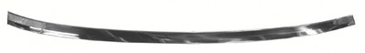 TRIM-WINDSHIELD WIPER DOOR-STAINLESS STEEL-EACH-68 (#E8007)