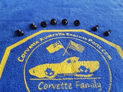 SCREW AND PIN SET-HINGE PILLAR WEATHERSTRIP-CONVERTIBLE-8 PIECE-63-67 (#E11582) 4B4 SCREW AND PIN SET-HINGE PILLAR WEATHERSTRIP-CONVERTIBLE-8 PIECE-63-67 (#E11582) 4B4