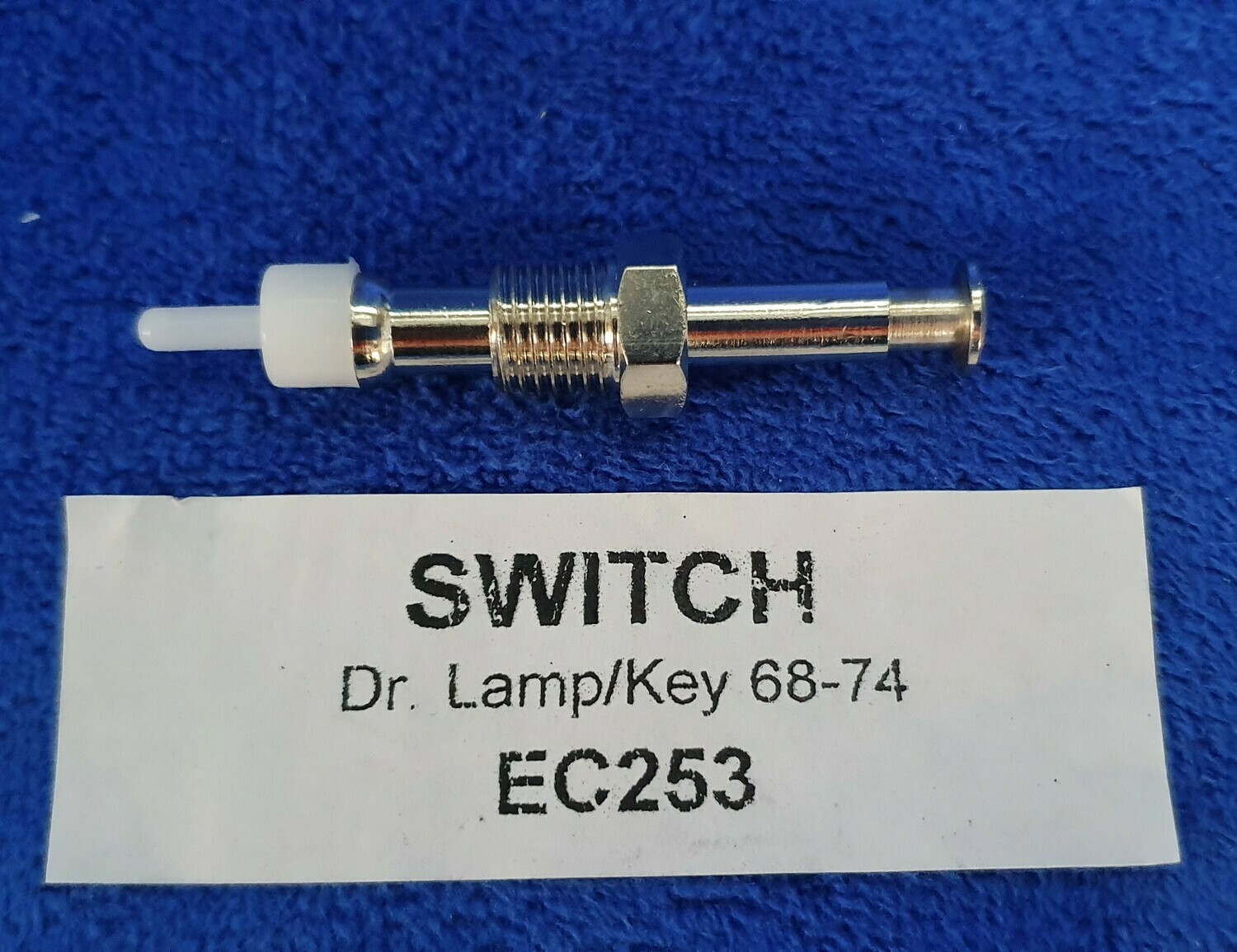 SWITCH-DOOR JAMB-COURTESY LAMP OR KEY WARNING-68-74 (#EC253) 5A2