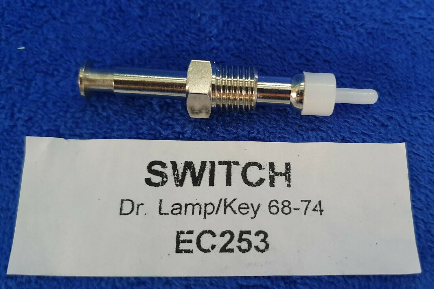 SWITCH-DOOR JAMB-COURTESY LAMP OR KEY WARNING-68-74 (#EC253) 5A2