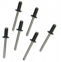 RIVET-SIDE DOOR GLASS WEATHERSTRIP MOUNT-REAR-6 PIECES-78-82 (#E15223)