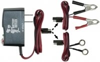 CHARGER-BATTERY STORAGE-6 VOLT-ALL YEARS (#E13910)