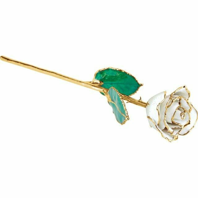 Lacquered Sparkle White Diamond Colored Rose with Gold Trim