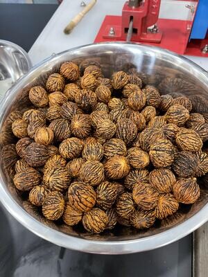 In-shell black walnuts (1 lb)
