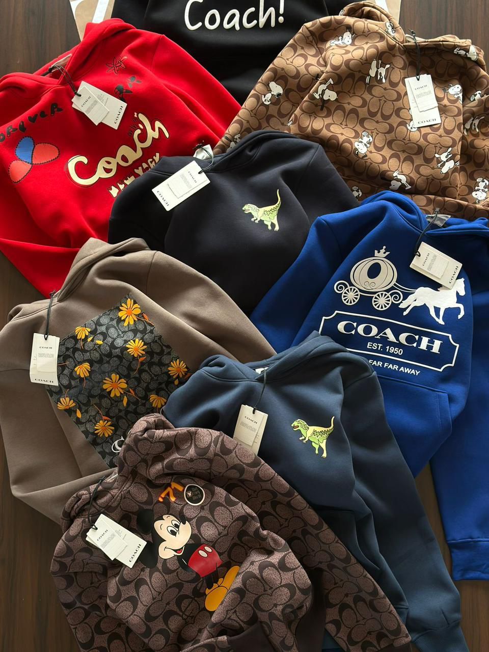 Coach Premium Quality Cotton Full Sleeve Men&#39;s Hoodie - 32 Pc