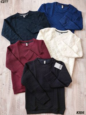 Zara Premium Quality Lycra Full Sleeve Kids Sweatshirt - 48 Pc