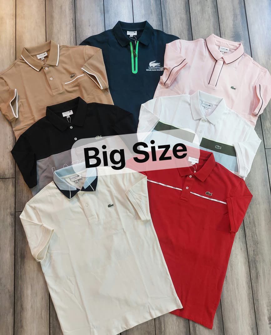 ( Big Size ) Men's Branded Collar Neck Half Sleeve Mens T-shirt - 45 Pc