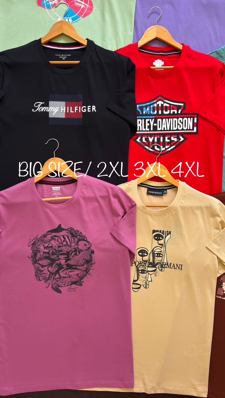 ( Big Size ) Multi Branded Premium Quality Cotton Round Neck Half Sleeve Men's T-Shirt - 41 Pc