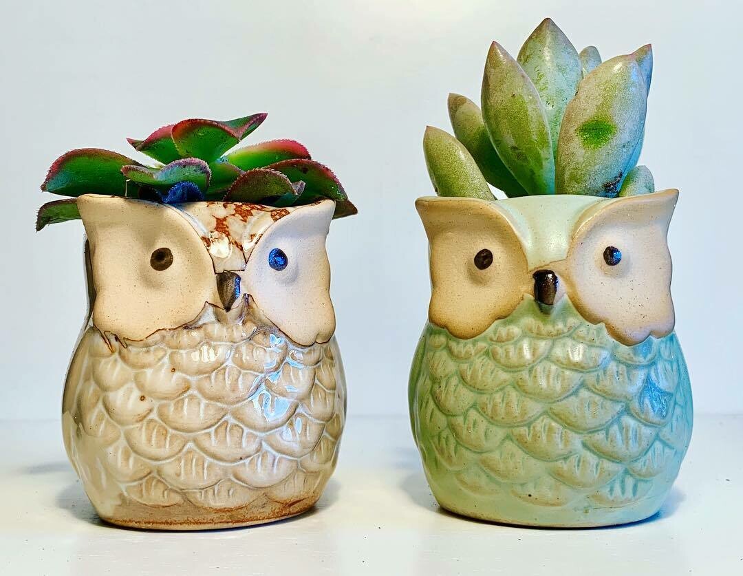 Mini owl ceramic planter