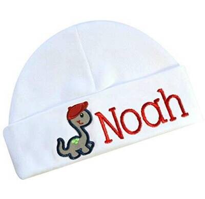 Dinosaur Baby Boy Hat Personalized Infant Hat with Dinosaur