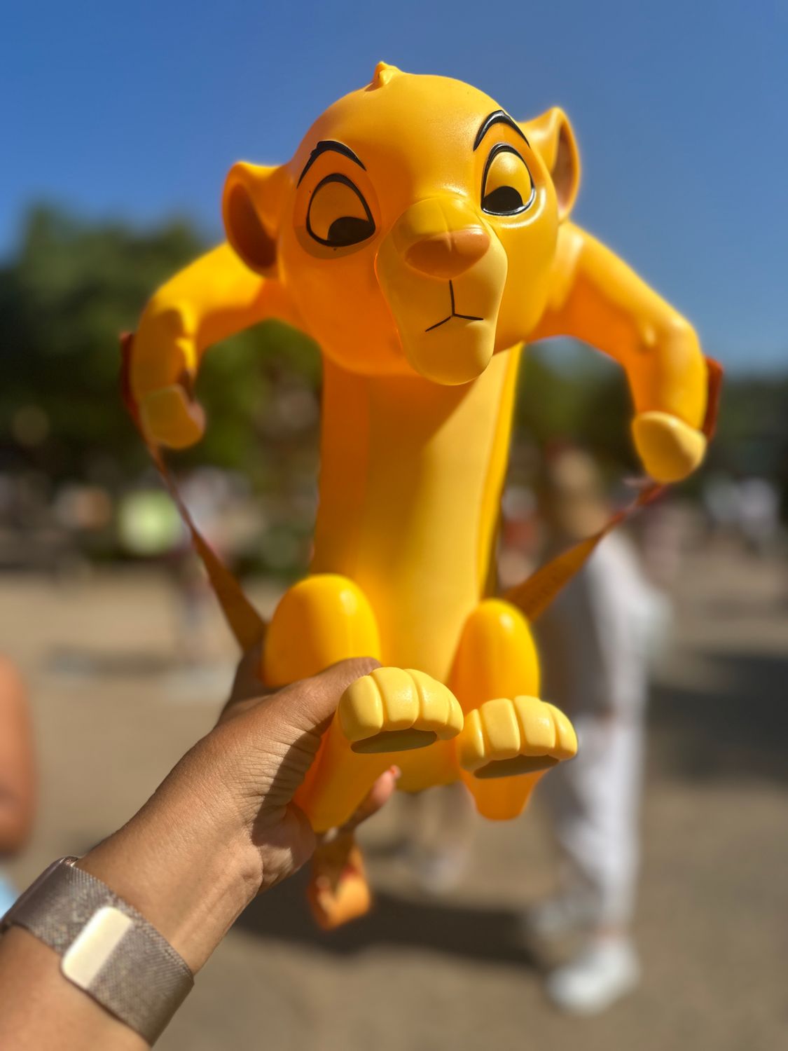 Palomiteras de sus Personajes Preferidos