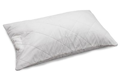 Plump Pillow's