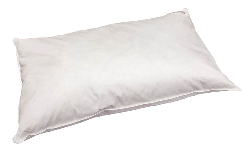 Mulberry Silk Pillow