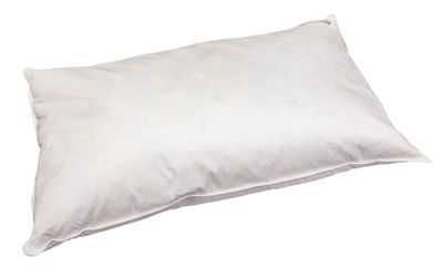 Mulberry Silk Pillow