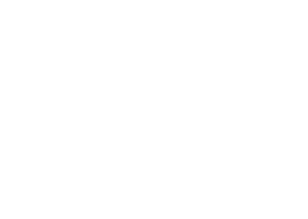 Alan Mirkovich Shop
