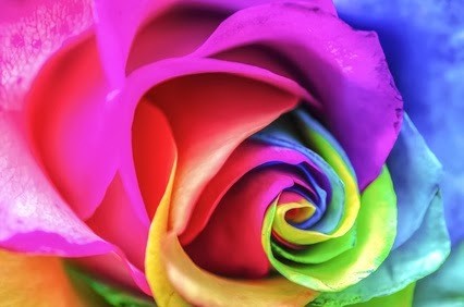 FLOWER POWER