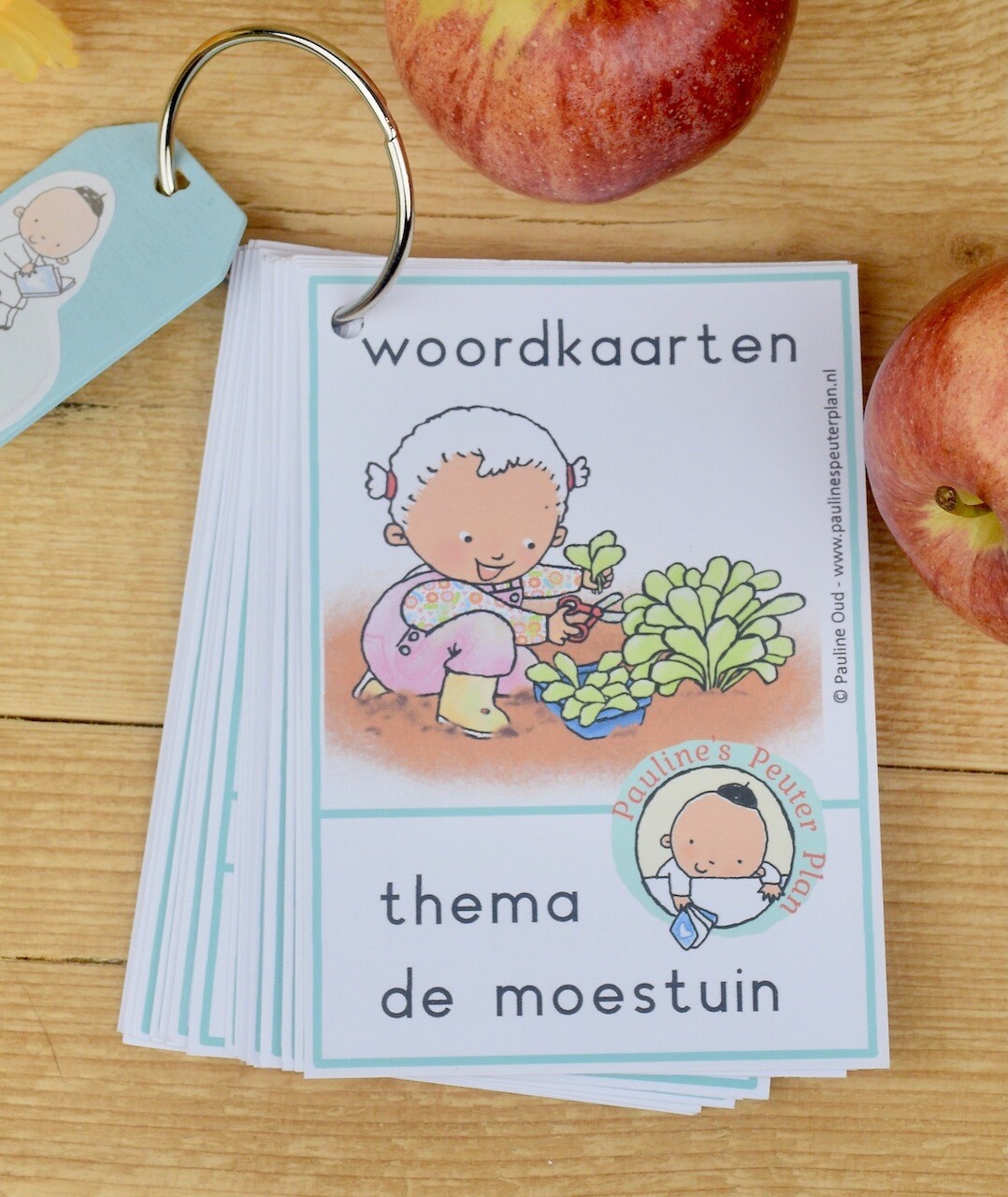 Woordkaarten Thema Moestuin