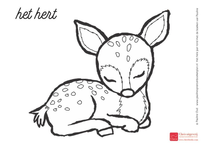 Kleurplaten Thema Het Bos