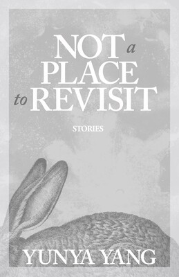 not a place to revisit: stories