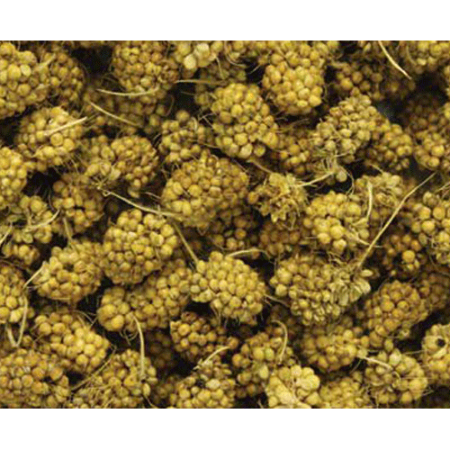 Millet Bites 1.5 oz