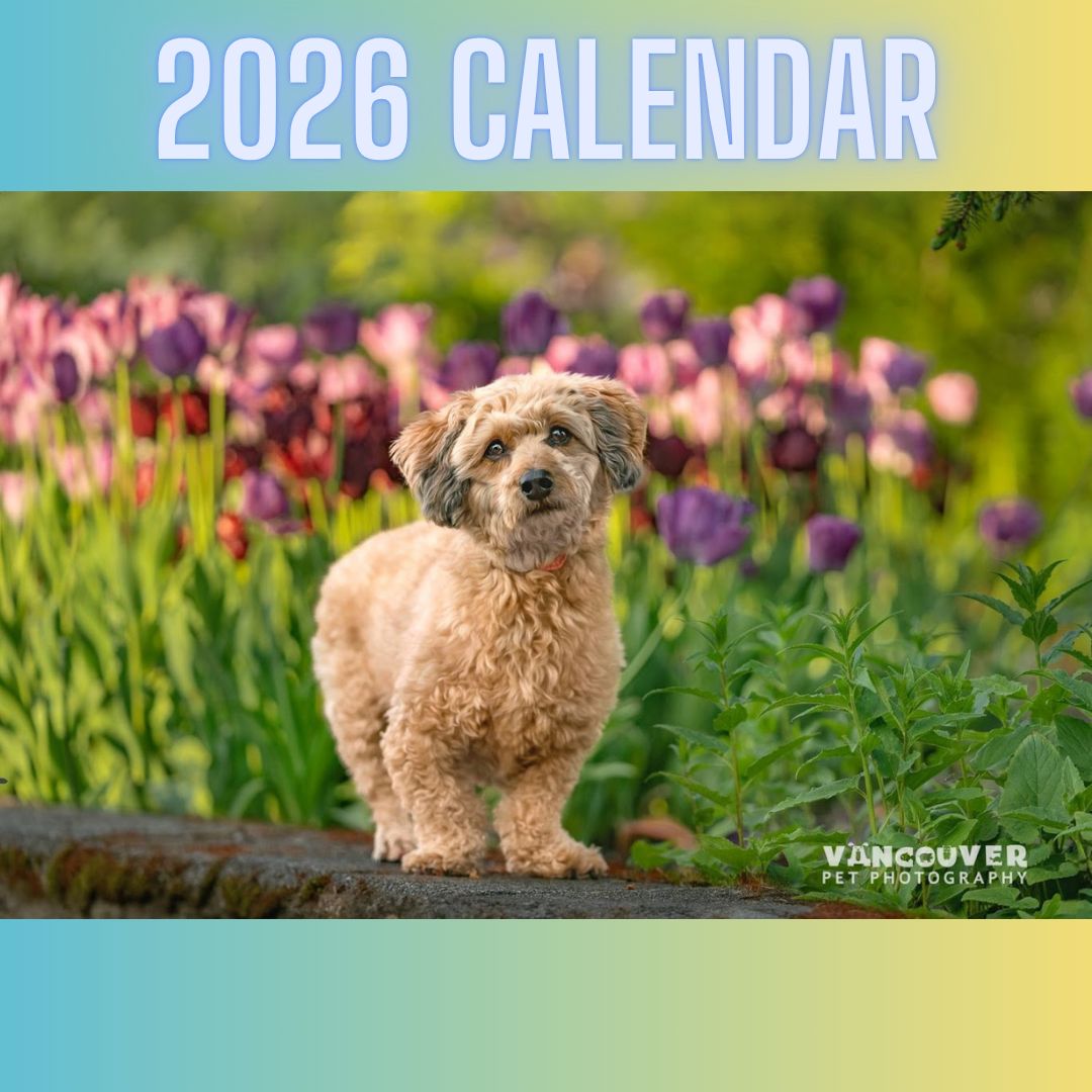 2026 About A Dog calendar