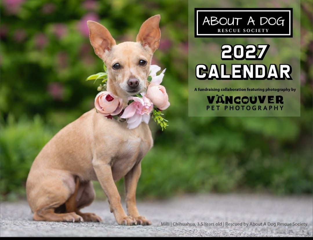 2027 About A Dog calendar