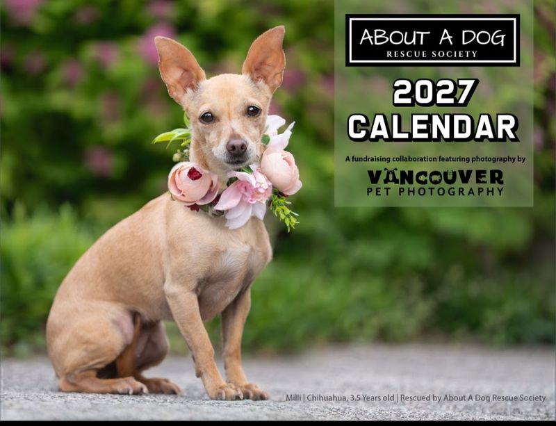 2027 About A Dog calendar