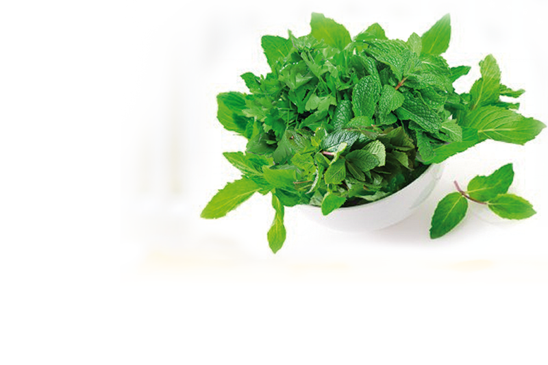 AROME 3 LIONS MINT FLAVOURING 30ML