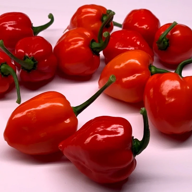 Fresh hot  Peppers Red 1lb