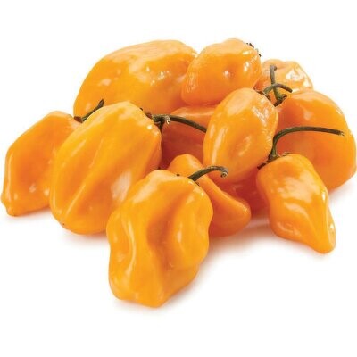 Fresh Habanero Hot Peppers Yellow 1lb