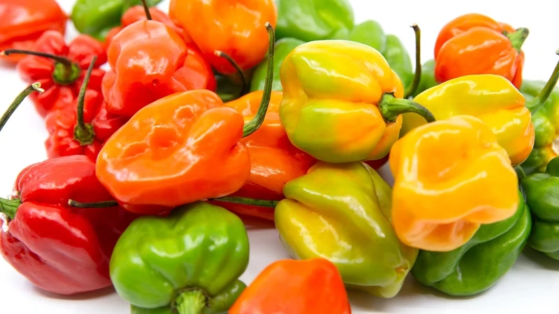 Fresh Habanero Pepper Mixed 1lb