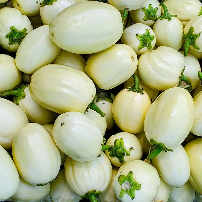 Fresh African  Eggplant White 1lb