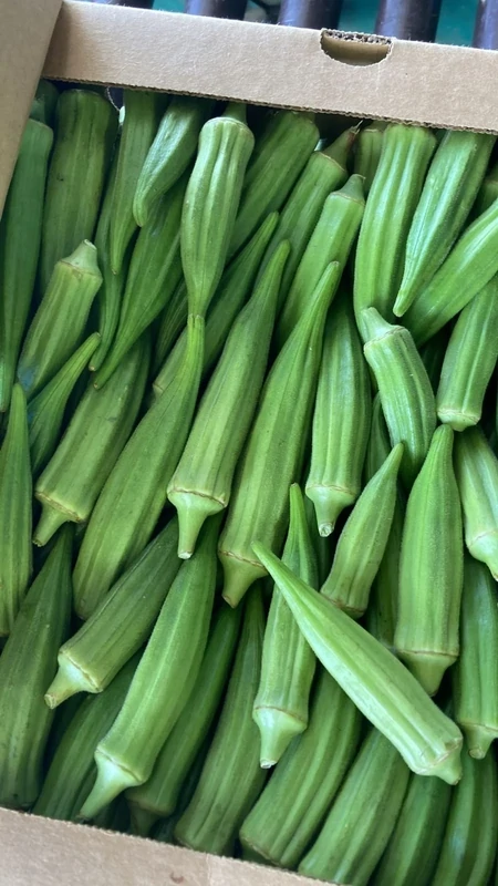 Fresh Okra Organic 1lb