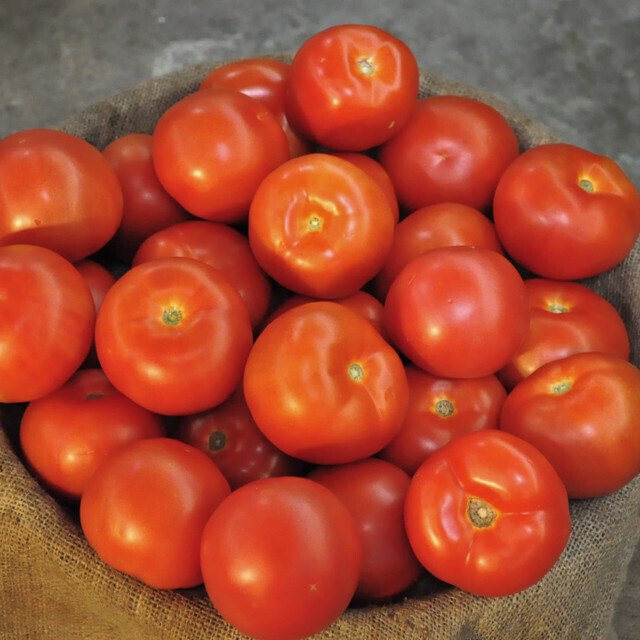Fresh Large Tomatoes 1lb
