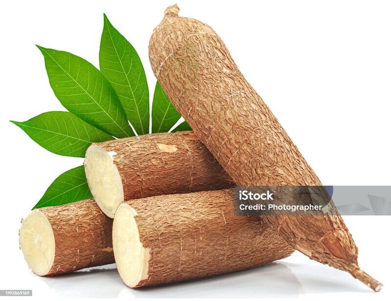 Fresh Cassava Manioc 1lb