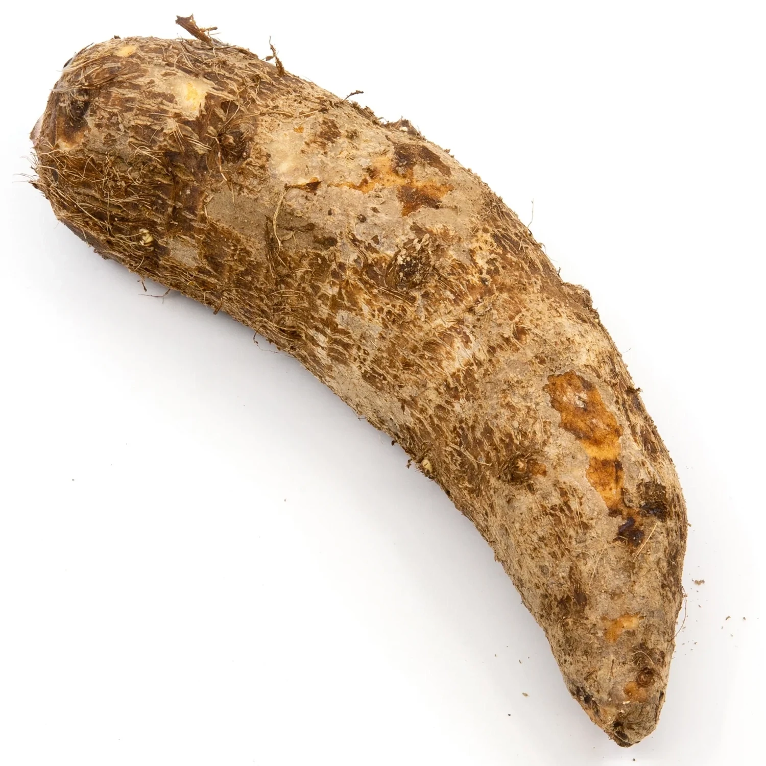 Fresh Yautia White 1lb