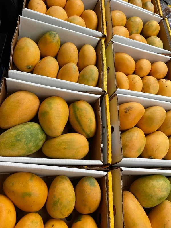 Fresh Mingolo Mango $1 each