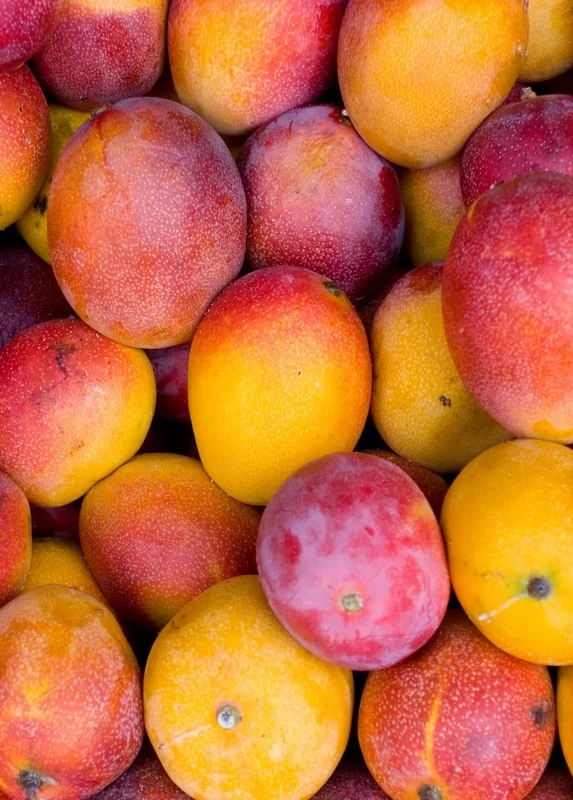 Fresh Sweet Haden mango $5 each