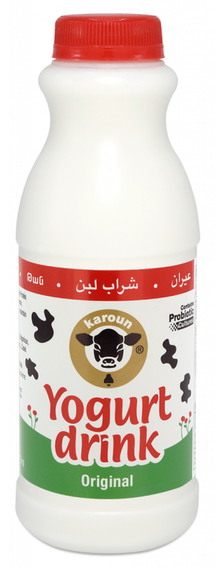 Karoun Yogurt Drink Plain 16 oz