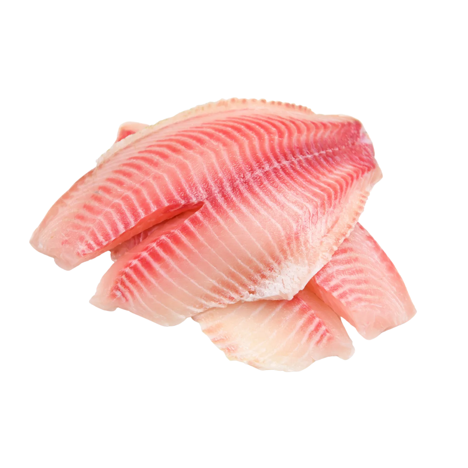 Frozen Tilapia Fish Fillet 1lb