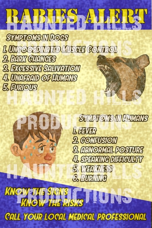 Rabies Vinyl Poster