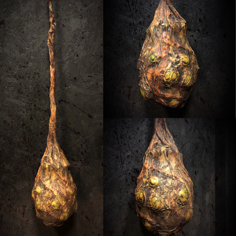 Egg Sac