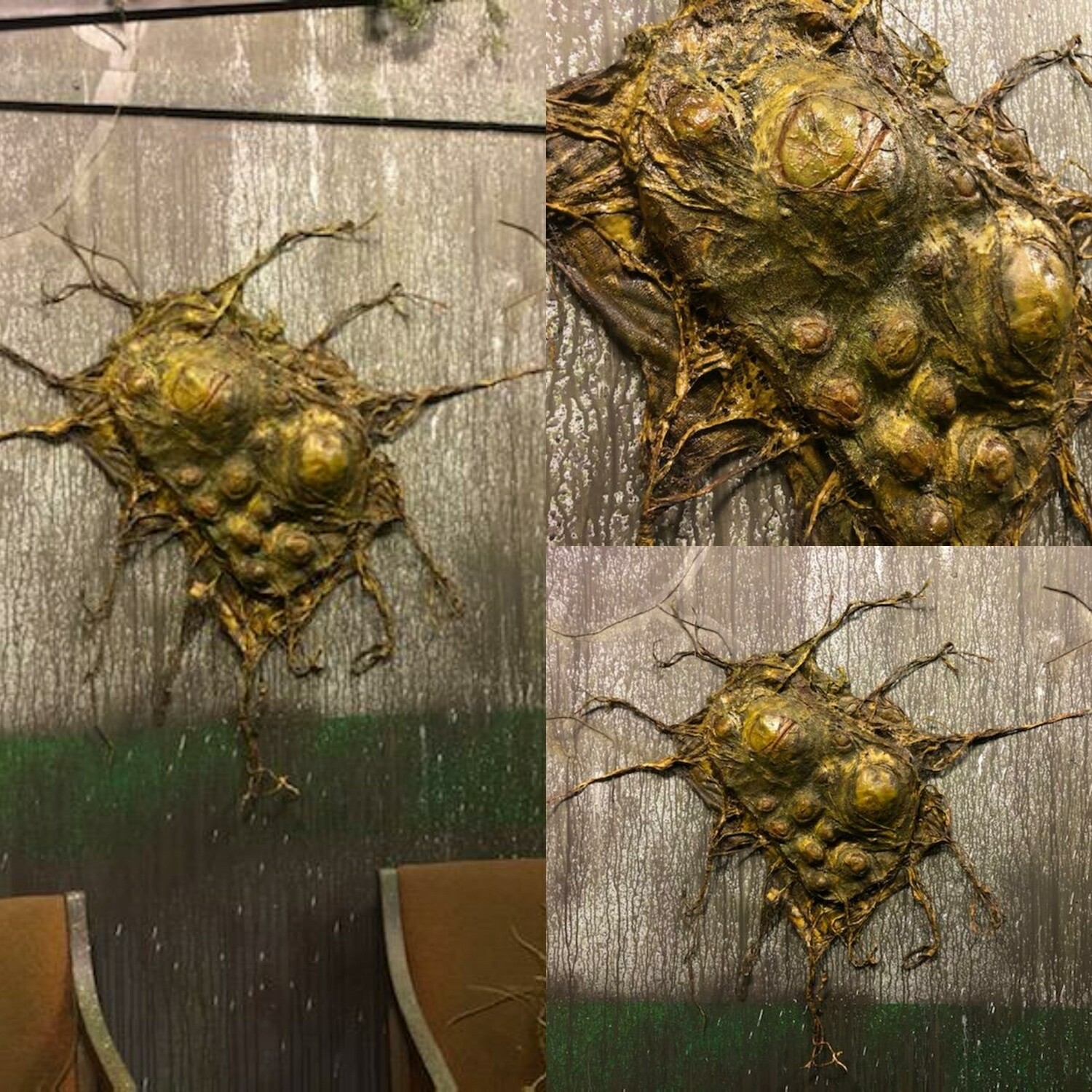 Egg cluster