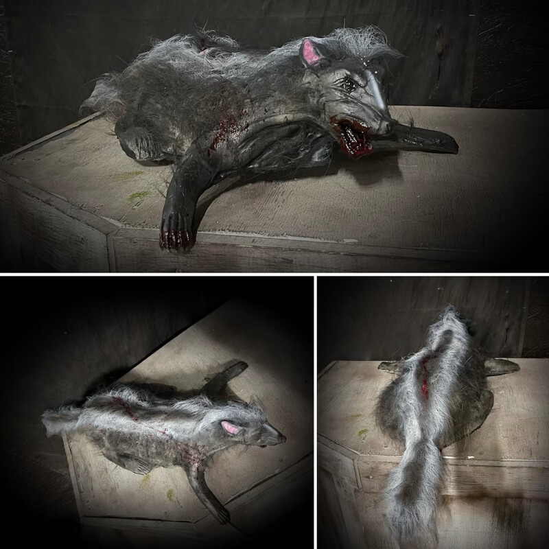 Dead Skunk