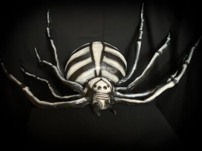 Itsy Bitsy Skull Spider